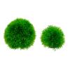 Pești și animale marine – Decorul acvariului