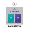 Random Ver
