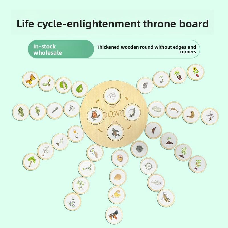 Wooden Kids Montessori Life Cycle Puzzle Educational Toy Cognitive Development