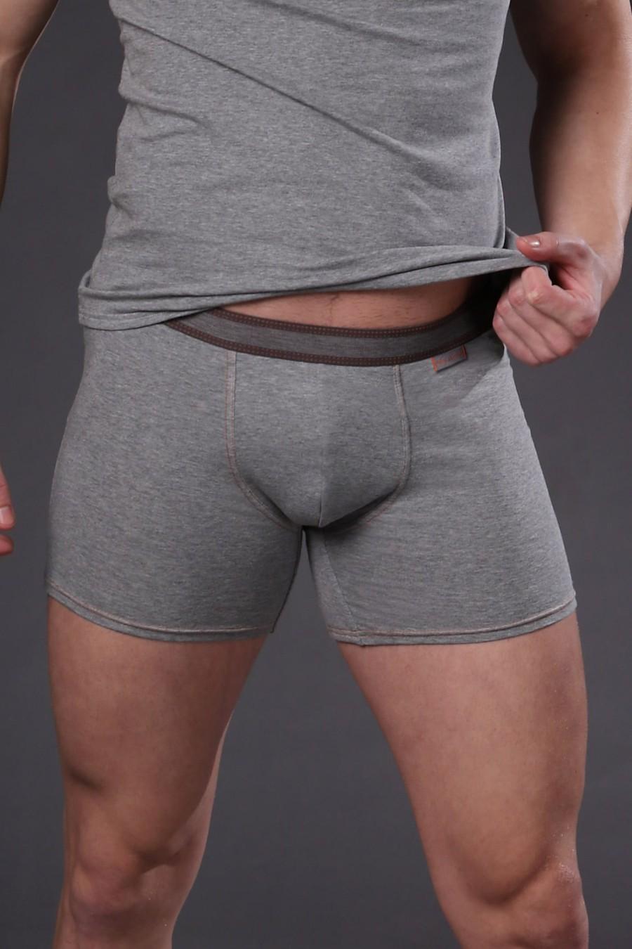 

Боксери труси Jolidon (59290) 54(2XL) французький небо синє кольору