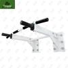Yongdai Wall-Mounted Pull-Up & Dip Station