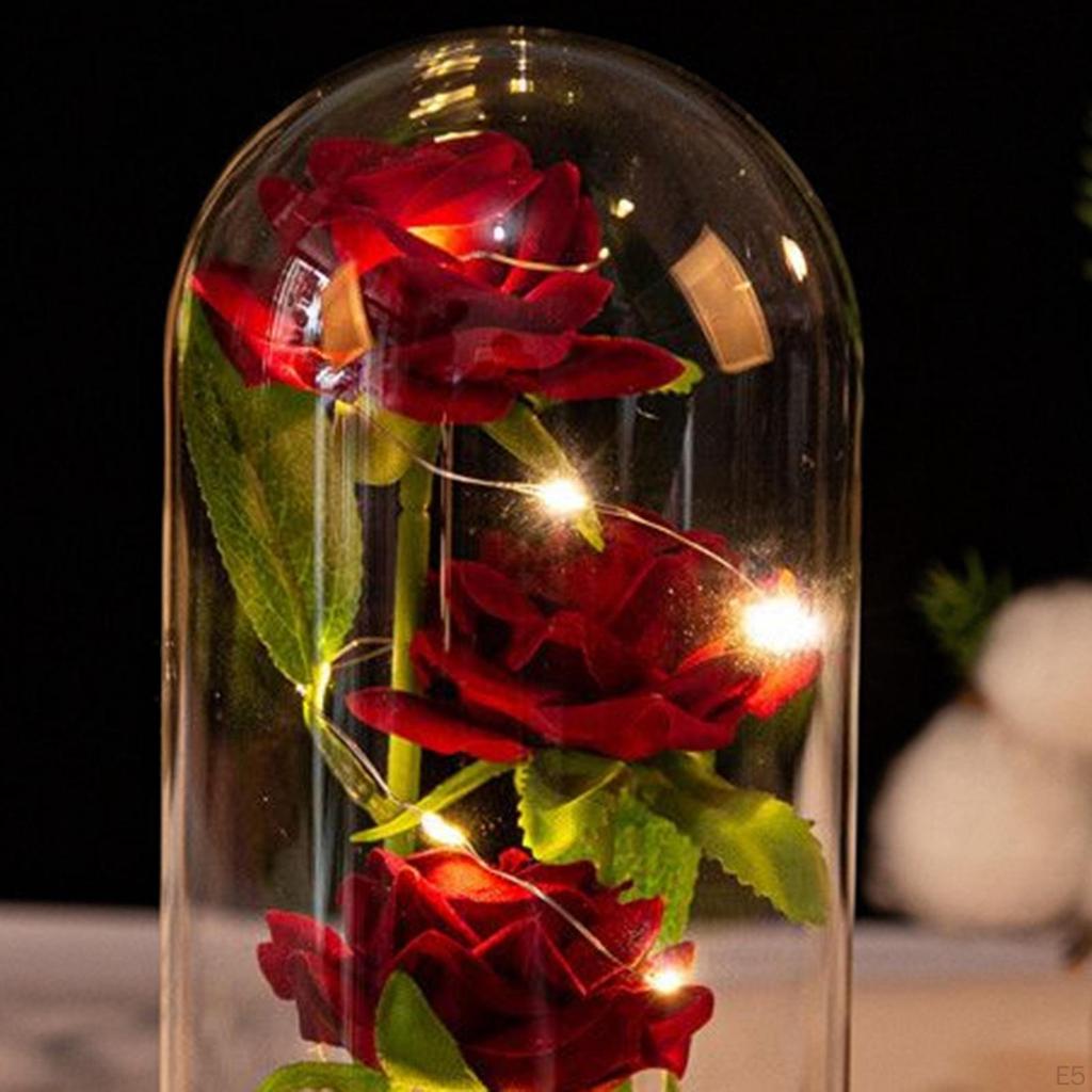 Gift for Christmas Valentine's Day Birthday
