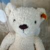 [USED] Steiff Teddy Bear Tommy