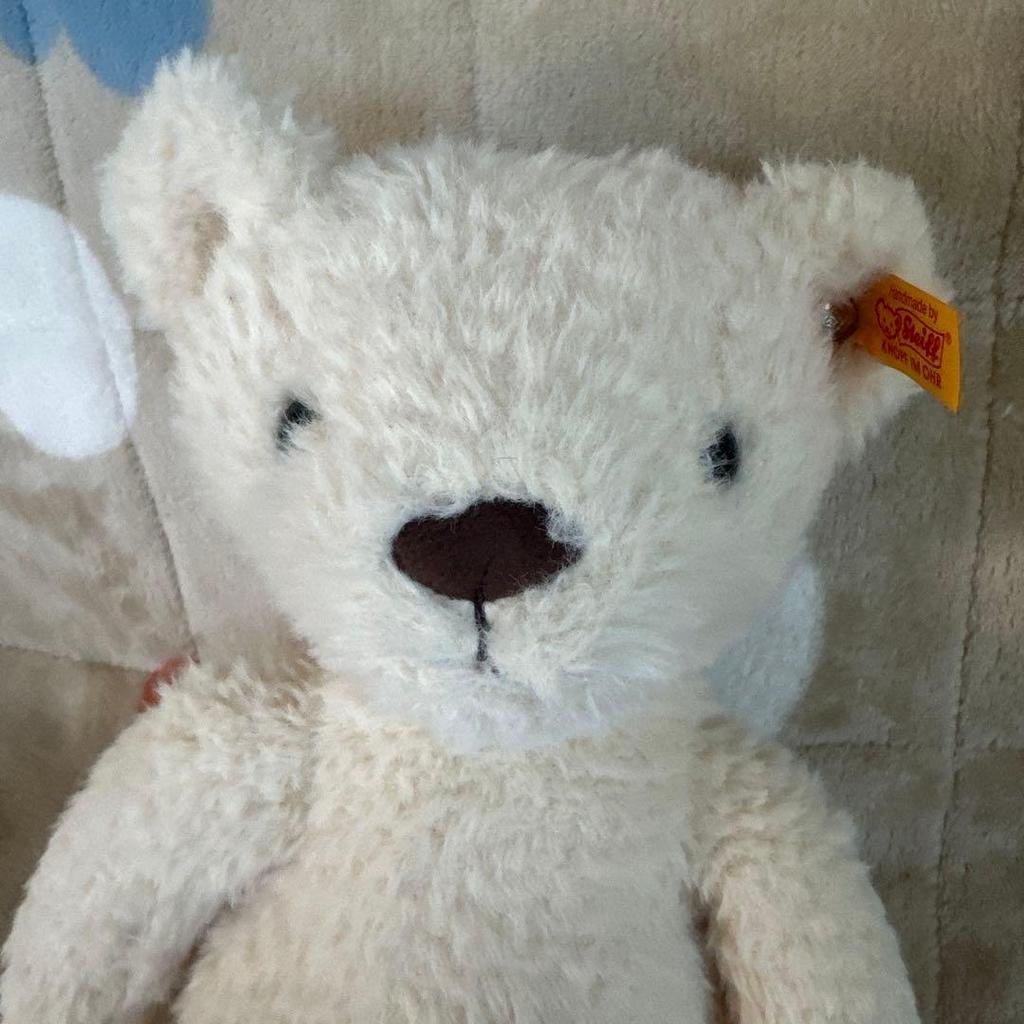 [USED] Steiff Teddy Bear Tommy