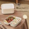 OIMG Heated 2-Compartment Insulated Lunch Box