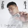 Musikkalbum
