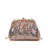 2025 New Temperament Light Luxury Celebrity Holding Dinner Bag Trendy Fashion High Sense Sequined Chain Messenger Bag