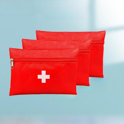 Epidemic & Emergency Survival Kit: Family, Vehicle, & Travel First Aid