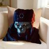 Tactical shooter A-Apex L-Legends  Square Double-Sided printed Pillow Case Bedroom Bedside Pillow Sofa Cushion Cover