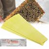 60pcs Varroa Strips Fluvalinate Bee Mite Killer Treatment Tool Beekeeping Pest Control Acaricide Control Apicultura Products