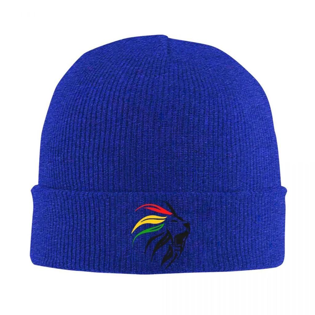 Cool Rasta Lion Of Judah Art Dreadlock Rastafari Knit Hat Beanie Autumn Winter Hats Warm Hip-hop Caps for Men Women