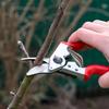 Garden Scissors Spring Pruning Shear Spring Stainless Steel Spring