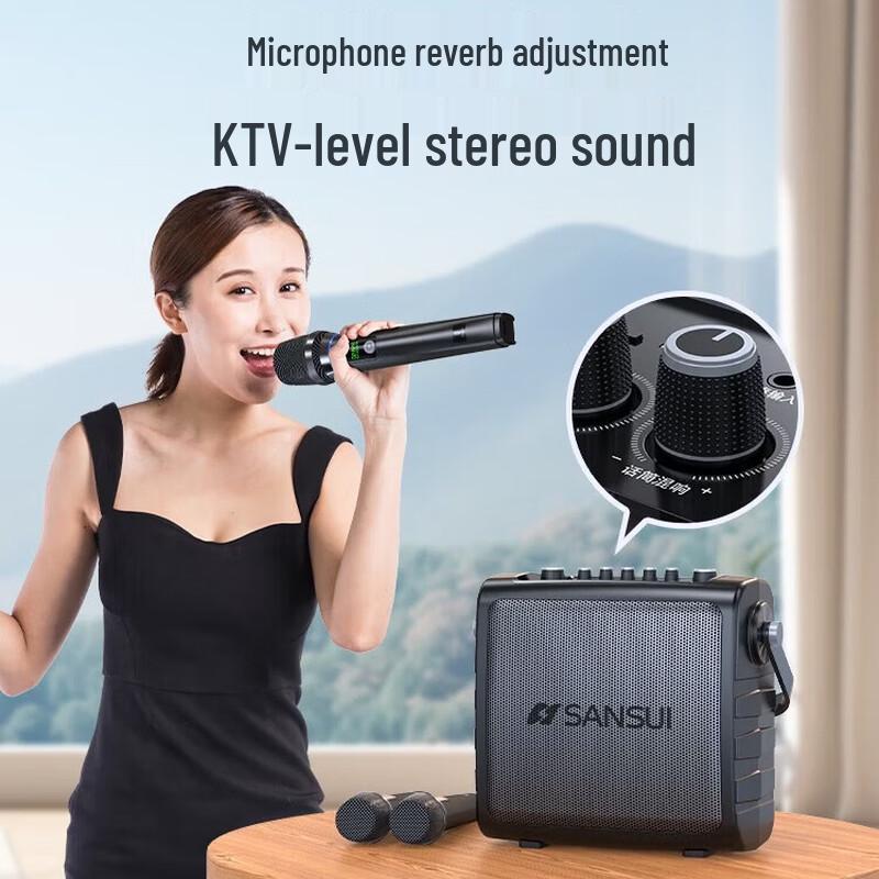 SANSUI G1 Portable Karaoke Bluetooth Speaker CN plug (adapter included)