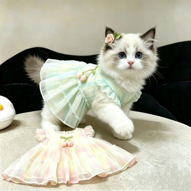 Cat skirt summer anti-hair loss cute gradual change color dress puppet cat gold gradient kitten sunscreen princess dress