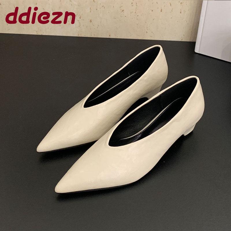 Fashion Pointed Toe Footwear Slip On Pumps Women Heeled Shoes Casual Female Fashion Shallow Ladies Low Heel Shoes 2025 New