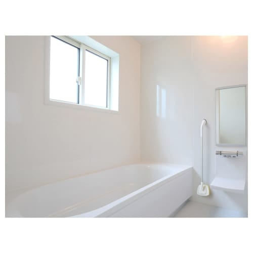 AISEN Magnetic Bath Brush Trepica BMG01 (1 Piece)