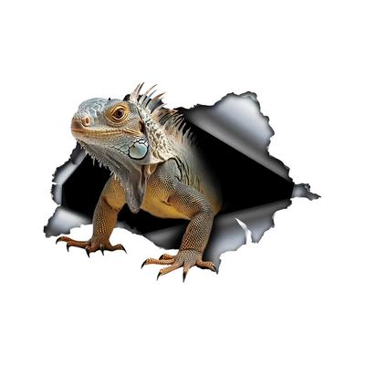 Funny Lguana Car Stickers Scratch Blocking Self-Adhesive Waterproof Decal, Used for Car, Laptop, Motorcycle, Van, RV