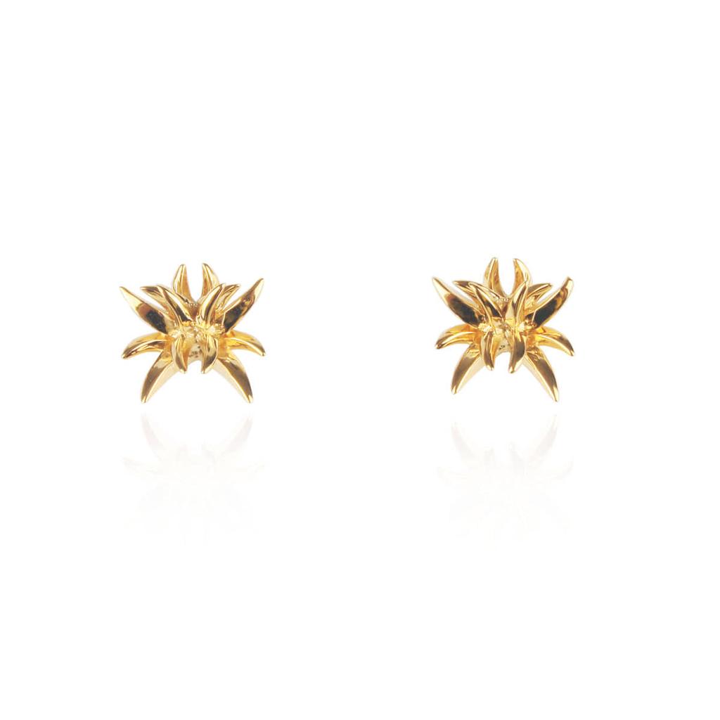 Mezmic Acmea Fasciata Earrings_ Yellow Gold