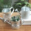 Office Decor Home Iron Sheet Embossed Wrought Flower Bucket Watering Can Vases