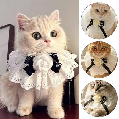 Kedi – Kedi Boyunluk ve Tasmaları