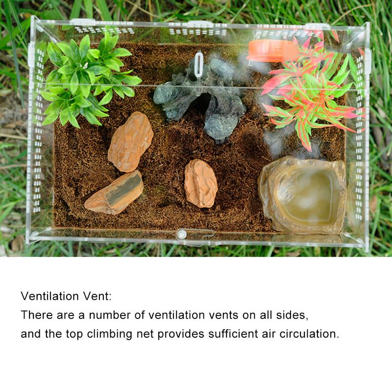 Transparent Acrylic Box Terrarium for Reptile and Amphibian Cricket Turtle Spider Snail Glass Shelter Terarium Terraria Gecko