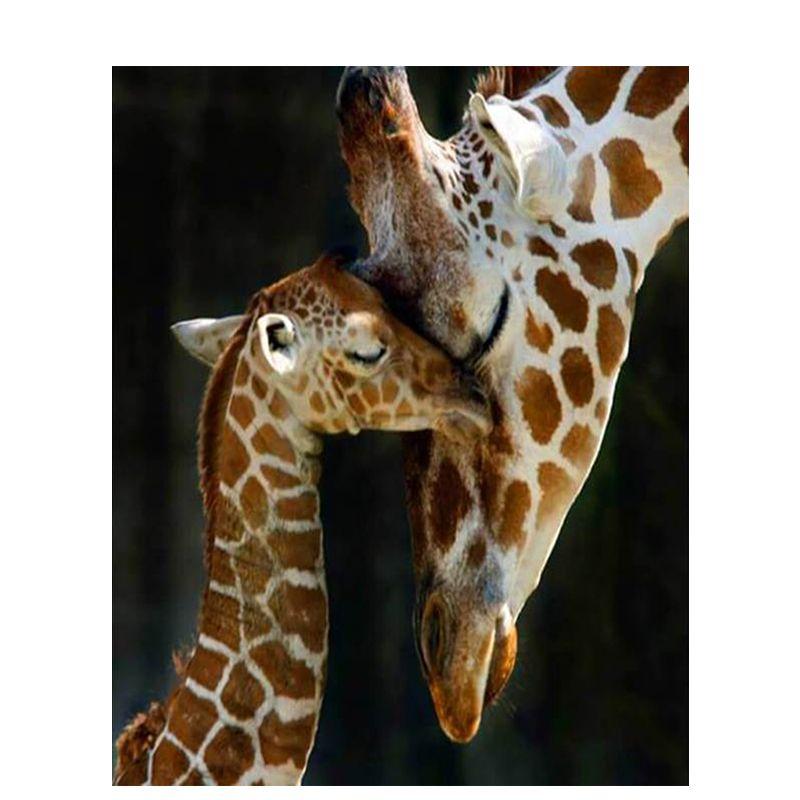 

5D DIY Алмазная картина Жираф Животное Алмазная вышивка Полный круглый алмаз Мозаика Главная Decoratio Full Round 20x30CM