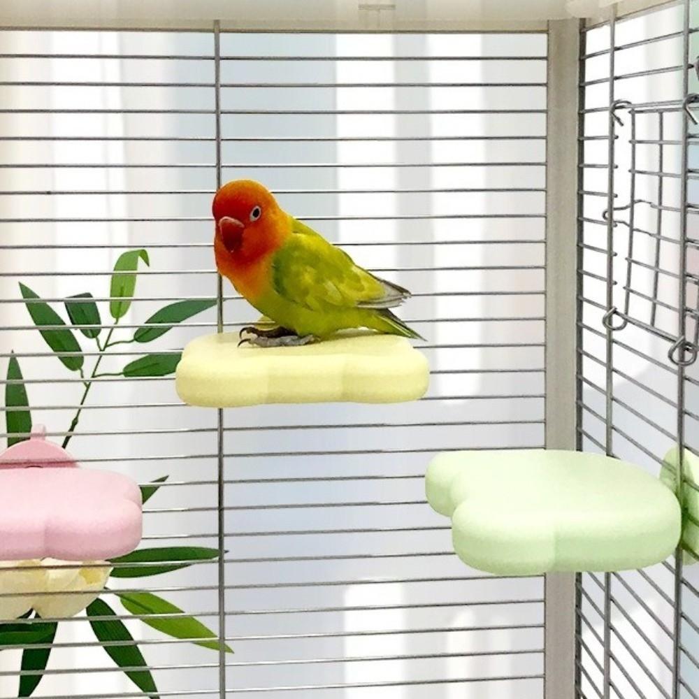 Detachable Pumice Parrot Stand Bite Resistant Tooth Grinding Bird Resting Platform Wear Resistant Bird Cage Training