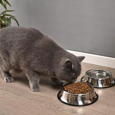 Hundenapf aus Edelstahl mit rutschfester Gummibasis für kleine, mittlere, große Haustiere, Futternapf und Wassernapf, Welpen, Katzen