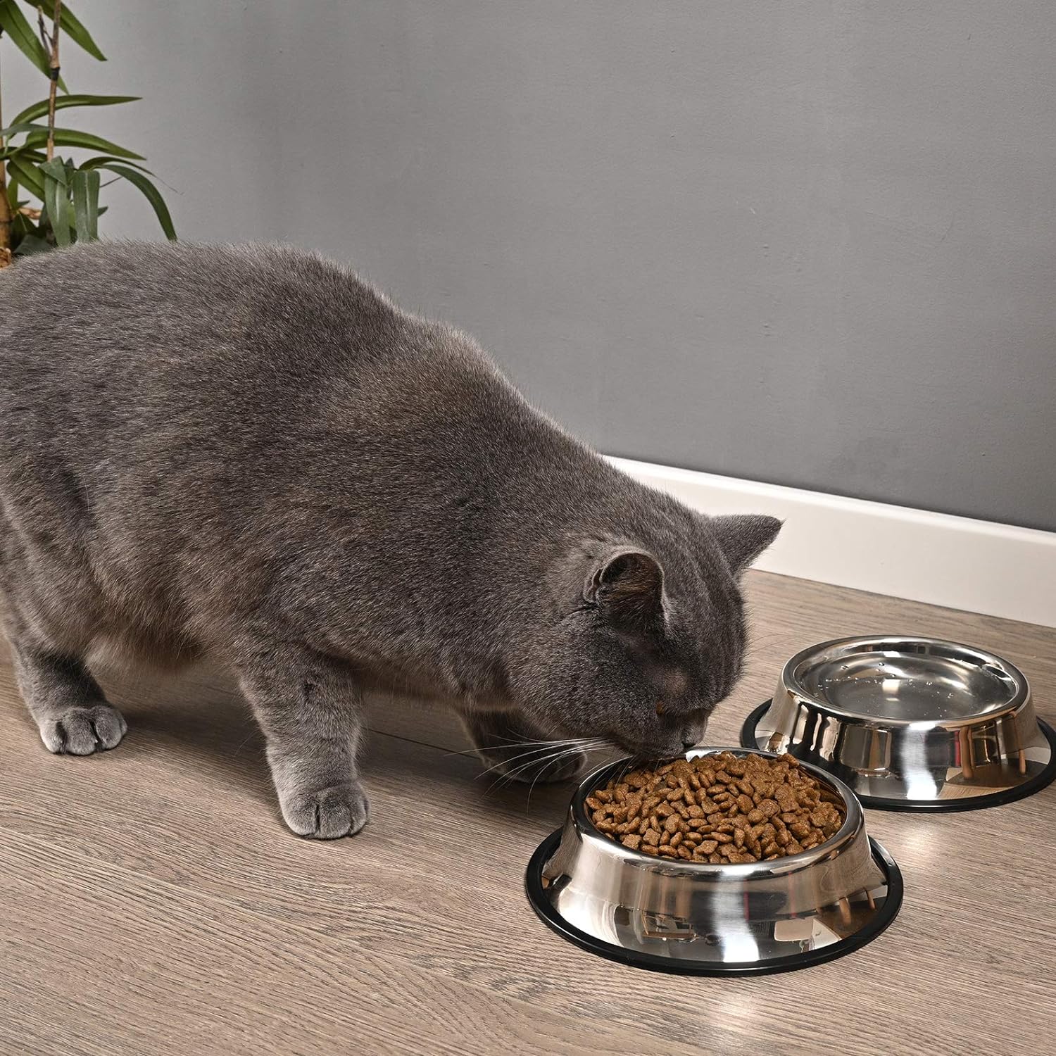 

Stainless Steel Dog Bowl with Anti Skid Rubber Base for Small Medium Large Pet Dish Pets Feeder and Water Choice Puppy Cat 18cm