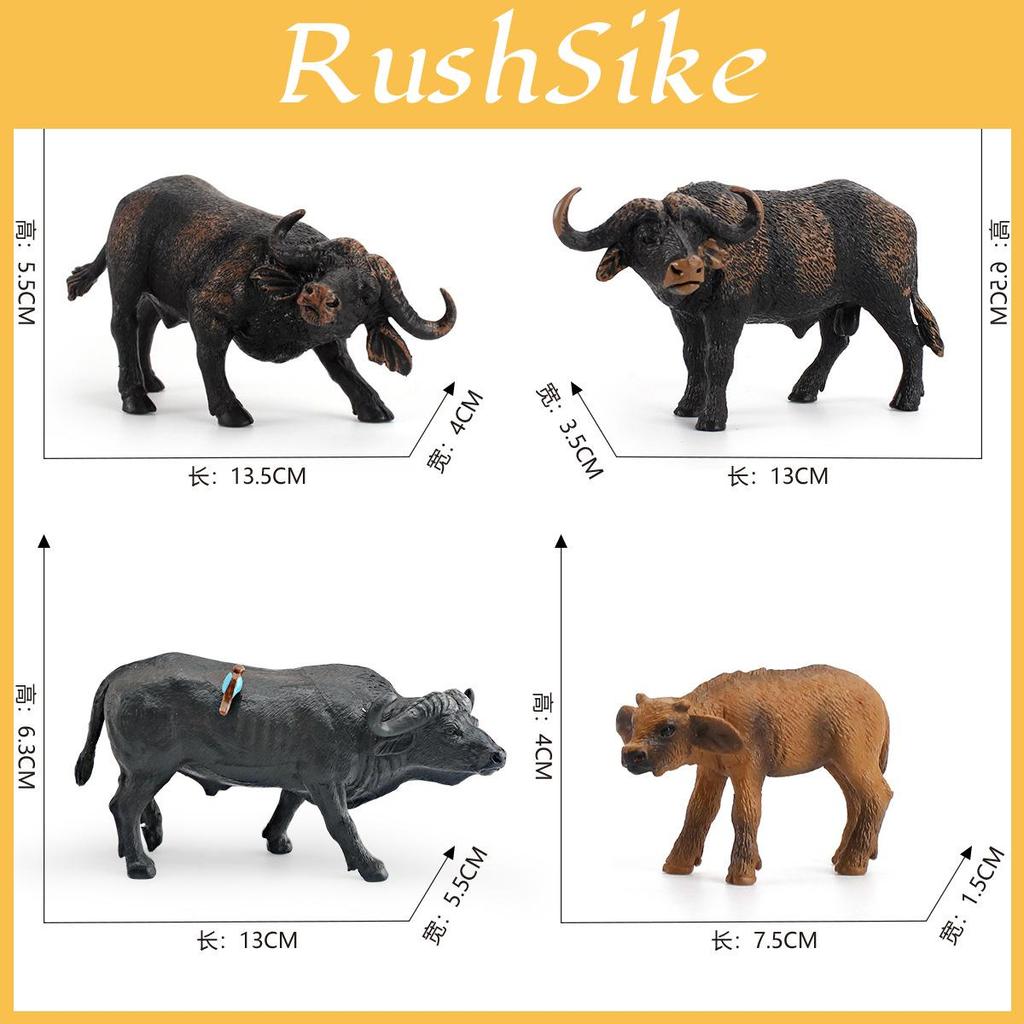 Afrikanischer Wasserbüffel Tierfigur PVC Sammlerspielzeug für den naturwissenschaftlichen Unterricht und zur Präsentation