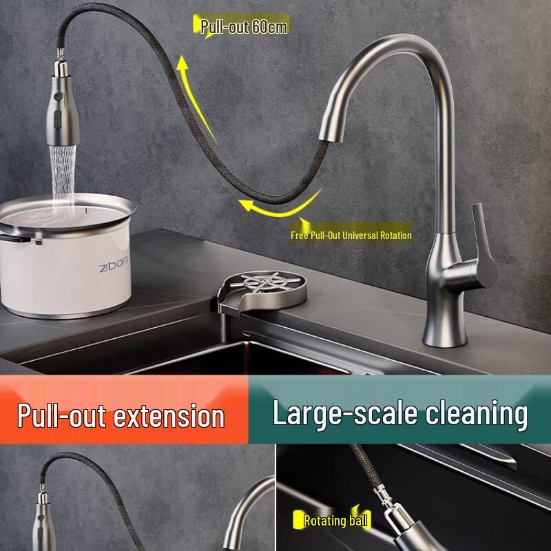 TLXT Brass Pull-Out Kitchen Faucet
