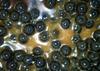 Carp food mini oil hookers - kulki haczykowe 12mm/50g słodka kukurydza
