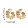 Exaggerated Geometric Patterns Earrings Ear Jewelry Zinc Zinc Alloy Stud Earrings  Party Decoration