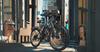 PASEBIKE C29 Elektrokolo EU 250W 65Nm 48V 21Ah 25km/h Dojezd 120km 29x2.1 E-bike