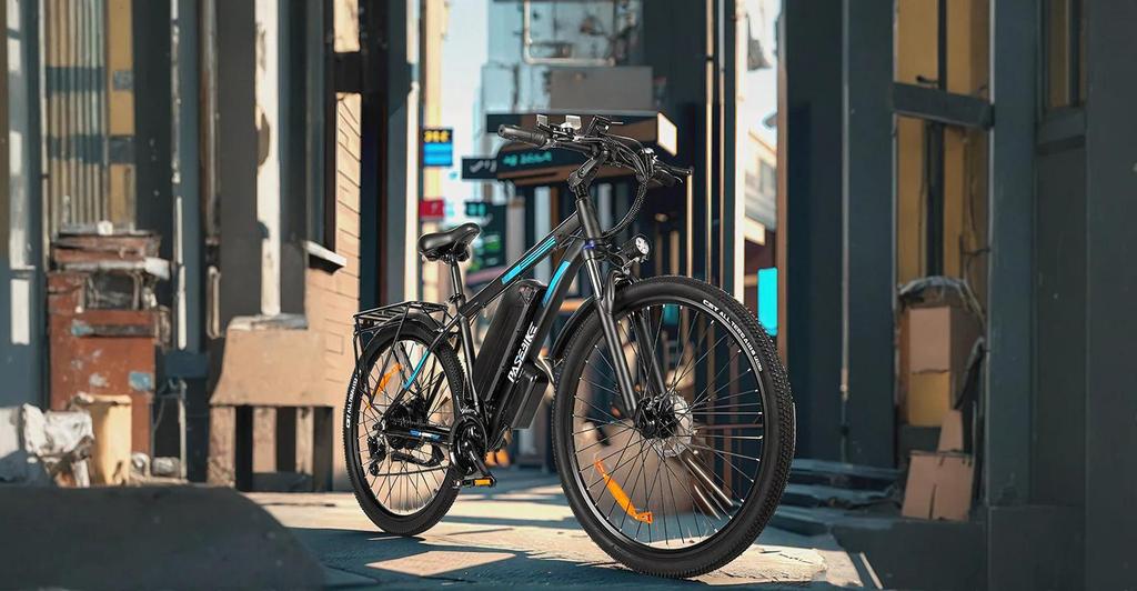 PASEBIKE C29 Elektrokolo EU 250W 65Nm 48V 21Ah 25km/h Dojezd 120km 29x2.1 E-bike