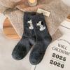 Female Autumn and Winter Thickened Warm Cartoon Cute Dog Wool Tube Pile Socks