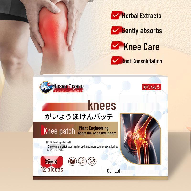 ZhisenmeiYe Japan Knee Pain Relief Patch for Soreness and Swelling