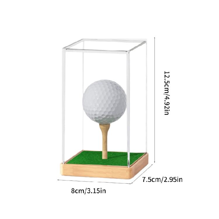 Golf Ball Display Case Storage Box Golf Ball Collector Display Organizer Signature Golf Ball Storage Container