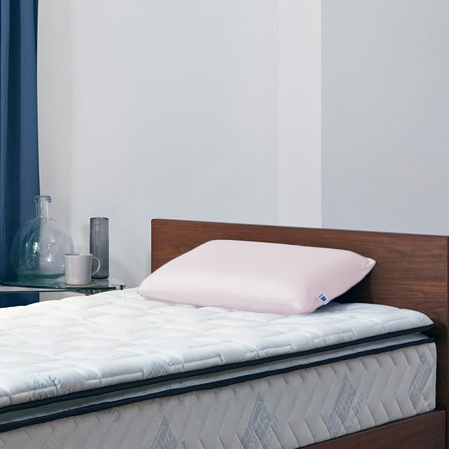Airweave Pillow Cover, Pink, 2-57011-PK-1, Mesh Material, Breathable, Absorbent