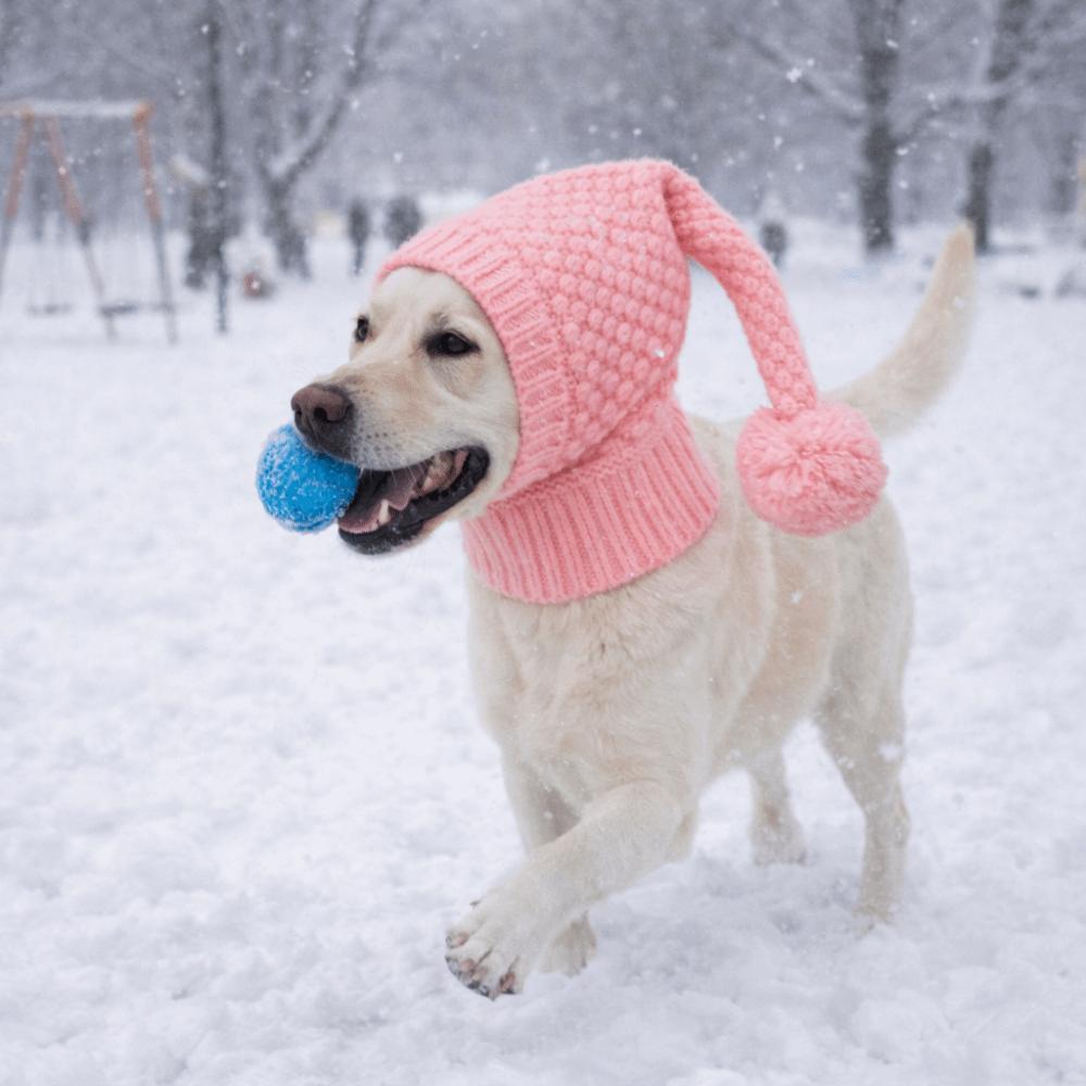 Puppy Hood Stretchy Dog Knitted Hat Cozy Warm Dog Headgear with Ball Ears Cover Pet Head Wrap Daily Use