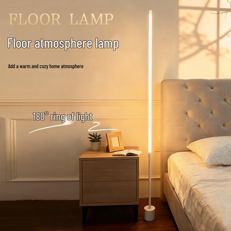 Oeny Modern Minimalist Floor Lamp