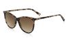 OWNDAYS Oversized Wellington Sunglasses with UV Brown Simple European Perfect for Driving Women's Protection, Demi-Gray Tortoiseshell, Design, Fit,