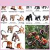 Realistic Pvc Animal Model Toy Collection With Gorilla And Monkey Figures For Kids And Enthusiasts