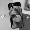 Apple Iphone15 Mobile Phone Case, Weimar Dog Mobile Phone Case, Painted Anti-Drop, Huawei Anti-Drop Mobile Phone Case.