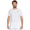 Nike Dri-FIT Men's Fitness T-Shirt AR6029-100