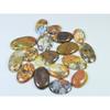 340Cts. Natural Forest Agate Oval Cabochon Loose Gemstone 17 Pcs Lot C-1950