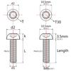 Ruifu Titanium Bolts M6x10 15 20 25 30 35mm T30