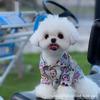 Dog Pajamas Small Clothes Thin Cartoon Anti-Shedding Schnauzer Bichon Teddy