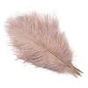 10Pcs Stage Props Ostrich Feathers 15-20cm Colored Ostrich Feathers  Home Decoration