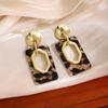 Silver Needle Geometric Leopard Print Earrings - Trendy Retro Studs for Women